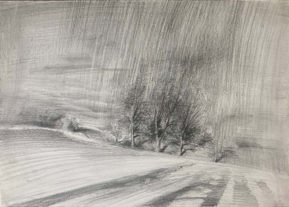 Morning Landscape by Camilla Holder